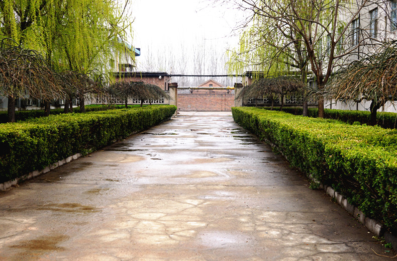 DSC00389_副本.jpg